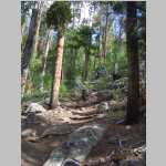hiking the Pinto Park Trail