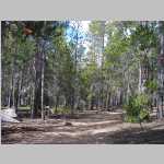 hiking the Pinto Park Trail