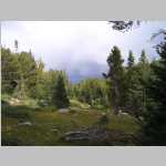  views around camp (with sedges and composites)