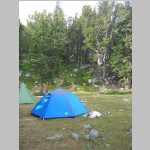  views around camp (with sedges and composites)