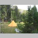  views around camp (with sedges and composites)