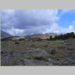  near the end of the Wind River Peak trail