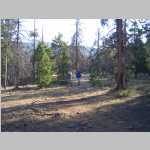 hiking the Sheep Bridge Trail to the trailhead at Worthen Meadows with a panorama SW to Roaring Fork Mountain.