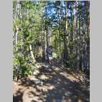 hiking the Sheep Bridge Trail to the trailhead at Worthen Meadows with a panorama SW to Roaring Fork Mountain.