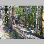 hiking the Sheep Bridge Trail to the trailhead at Worthen Meadows with a panorama SW to Roaring Fork Mountain.