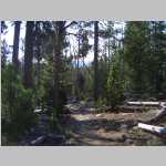 hiking the Sheep Bridge Trail to the trailhead at Worthen Meadows with a panorama SW to Roaring Fork Mountain.
