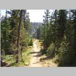 on the Pole Creek Trail in the vicinity of Eklund Lake