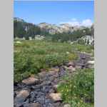 between Timico Lake and Fremont Trail