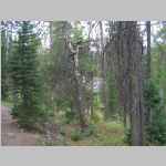 hiking from Photographer's Point and the trailhead at Elkhart Park 