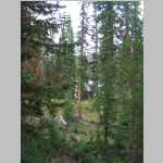 hiking from Photographer's Point and the trailhead at Elkhart Park 
