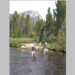 Bob and Jim crossing Pole Creek
