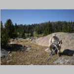 Bob at Highline/Bell Lakes trail junction