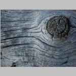 Wood art at Chain Lakes camp
