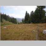 Ted hiking N toward Pole Creek crossing