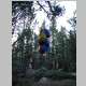food hanging at camp