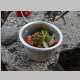 Potatoes and Salmon with pickled veggies and capers