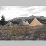 Tents - orange