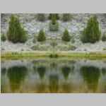 Mirror shot of Mirror lake