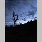 Hung food at dusk