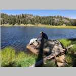  Brian and Ted at Francis Lake filling a water bag for purification