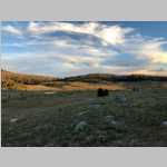 E to S panorama from Mirror Lake camp (Fish Creek Pass and Laturio Mtn)