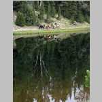 three views across Mirror Lake