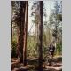 Hiking thew North Fork trail