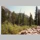 Near the North Fork/Pinto Park trail junction
