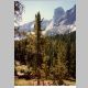 Lizard Head Meadows. The Monolith, Dogtooth Mountain